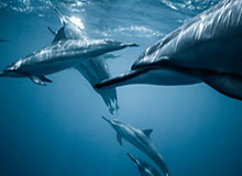 衢州队夺得开门红